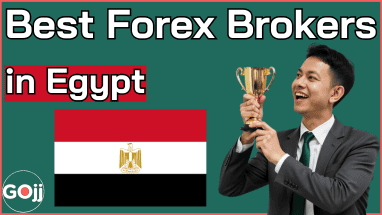 Best Forexs Brokers in Egypt